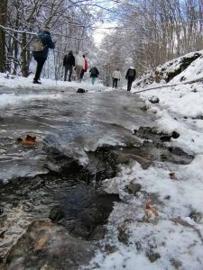 разходки в гората на нова година